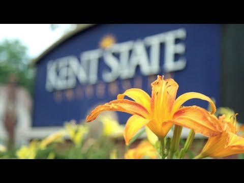 Kent state admission essay