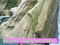 Ashish Chowdhury Comedy