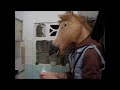Horse S Fucking Day images Horse S Fucking Day