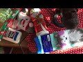 What I Got For Christmas Asmr Vid Is A Joke What I Got For Christmas Asmr Vid Is A Joke