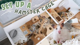 Set Up A 6Ft Hamster Cage With Me