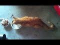 The Story Flat the Cat