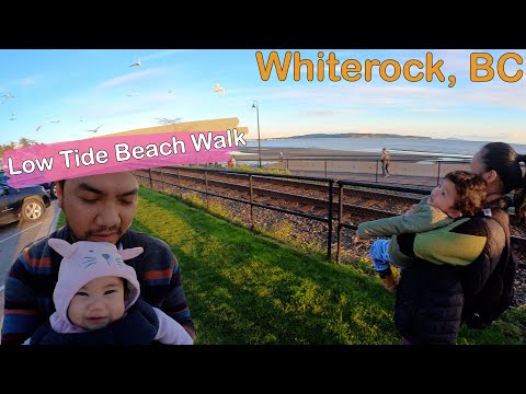 Whiterock, BC - Low Tide Beach Walk