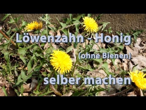 senf gesund abnehmen