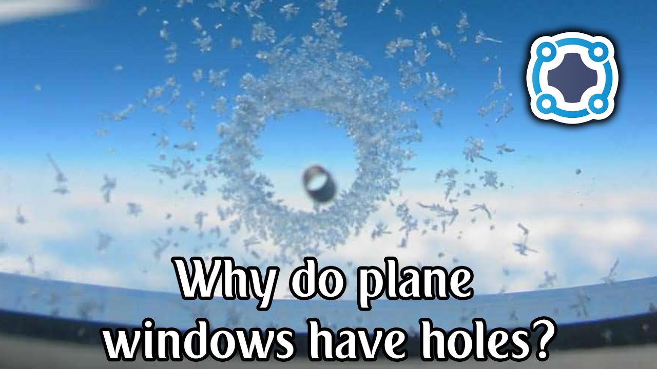 Watch The Hole Movie Leap (2017) 