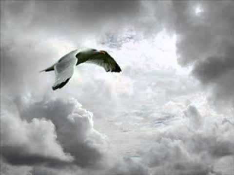 Silver Lining Video