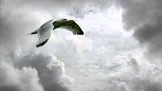 Watch Amanda Ghost Silver Lining video