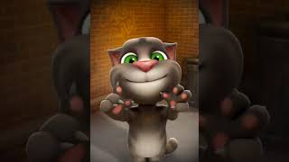 El. Gato. Miau. Ja. Ja Ja Ja