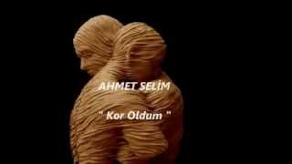 Ahmet Selim Gündoğan / Kor Oldum