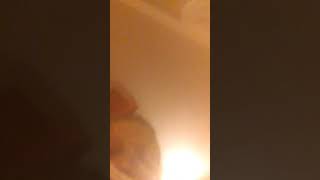 Popo poop poop poop poop poop poop poop poop poop poop poop poop poop poop poop poop poop poop poop.