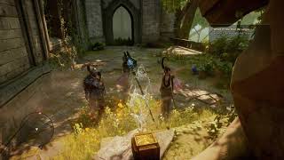 Dragon Age™: Inquisition Solas and Morrigan funny moment