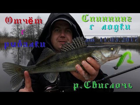 судак на свислочи как ловить судак на свислочи как ловить