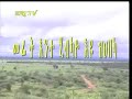 Eritrea - PRIVATE Gash-Barka Farm