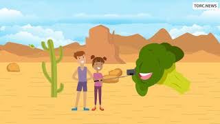 TURTLETALKS.NET news of Truth or Consequences New Mexico