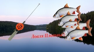 ловля белой рыбы на поплавок ловля белой рыбы на поплавок
