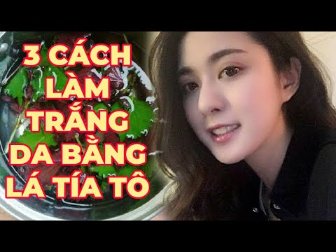 3 Cách làm trắng da bằng lá tía tô quá lợi hại - Kênh Hướng Dẫn