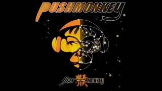 Watch Pushmonkey Sorry video