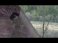 2013 Alabama Turkey Hunt