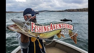 IDEES CADEAUX NOËL DES PÊCHEURS FISHING AVENTURE HD