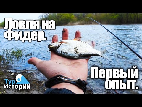 правила рыбалки на реке дон правила рыбалки на реке дон