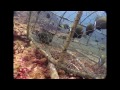 Moray Eels - Reef Life of the Andaman - Part 7