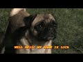 (1) Loca the Pug singing......'The pug that couldn't run'