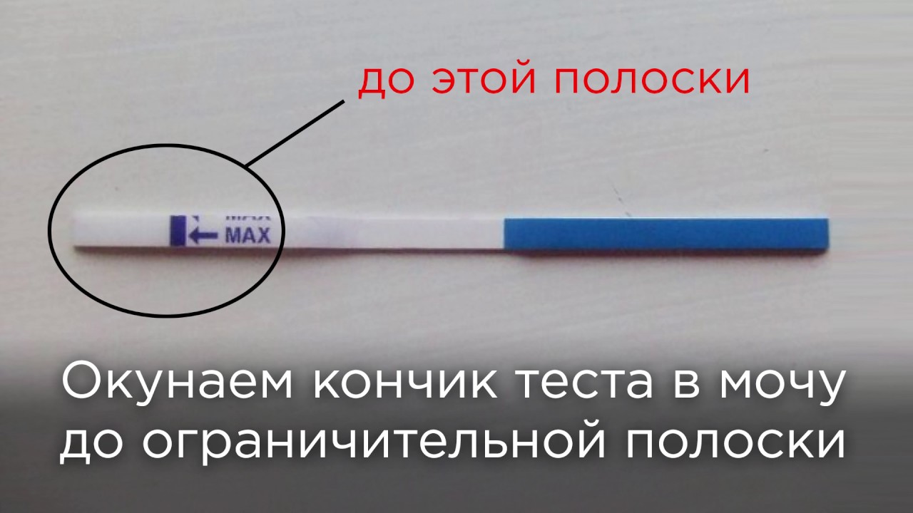 Тест на беременность правильное применение Тест на беременность правильное применение