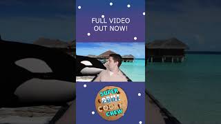 New Videohow To Survive A Killer Whale Attack The Right Way