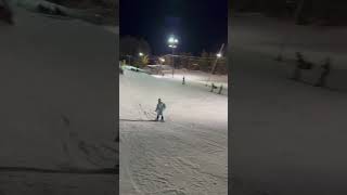 Narwhal Smashing Rails At Hyland Hills