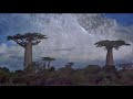 VIDEO ART SONG PONG infected mushroom