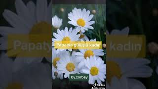 Papatya Gülüşlü Kadin