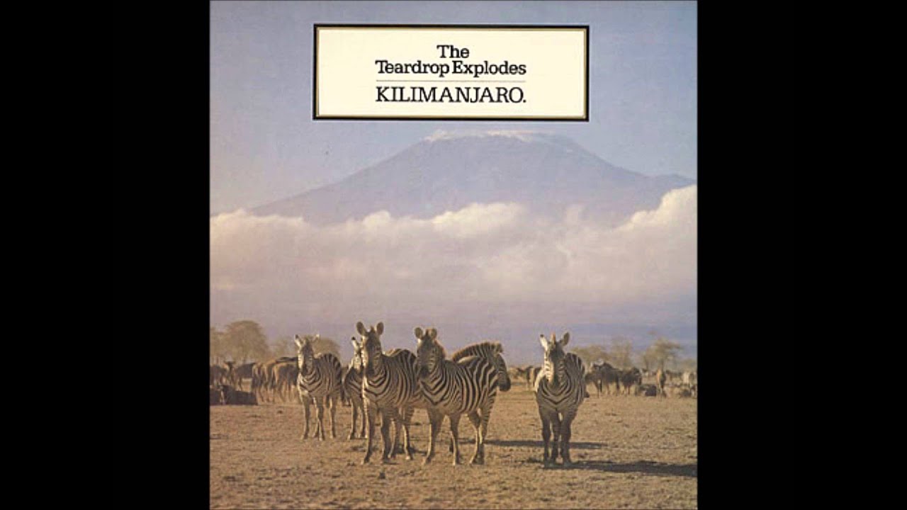 Teardrop Explodes, The - Bouncing Babies / All I Am Is Loving You Teardrop Explodes, The - Bouncing Babies / All I Am Is Loving You