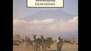 Watch Teardrop Explodes Kilimanjaro video