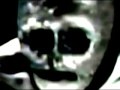 DJ Curse - Mortal lambs