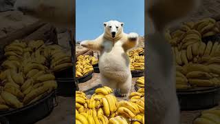 Polar Bear Is Dancing For Chicken And Banana Songs Bet Viral