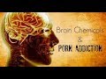 Porn vs Brain, Science explaining the real truth....