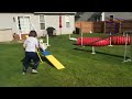 TOP CRAZY & FUNNY DOGS of 2020!