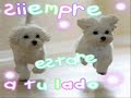 RUDY LAS CALA MIX