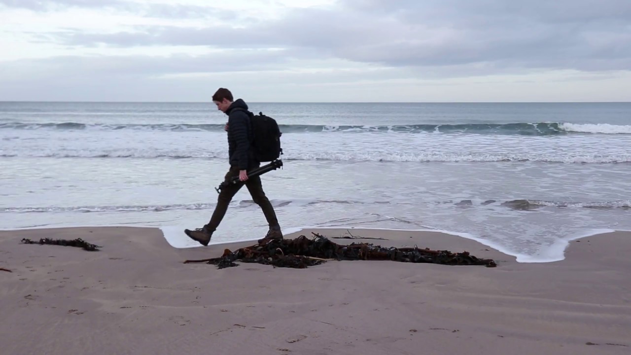 Video preview image