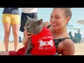 World&39s First Cat Lifeguard