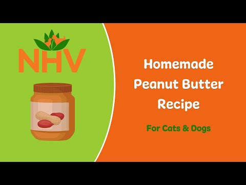 Homemade Peanut Butter For Pets With Just TWO Ingredients!