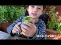 Transformers 1-Step Robot Toys & Rescue Bots Dinobots Toy Review