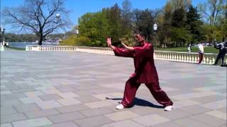 Sifu Lan Tran - Stillness In Movement