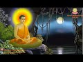 Nhạc Thiền Sống Tự Tại Và Giải Thoát