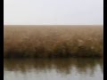 SemprePesce | La caccia alle anatre in laguna
