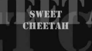 Watch WASP Sweet Cheetah video