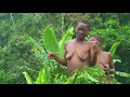 pygmy