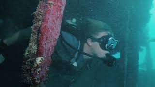 Theres Something In The Water Monster Movie, Kwajalein, Marshall Islands