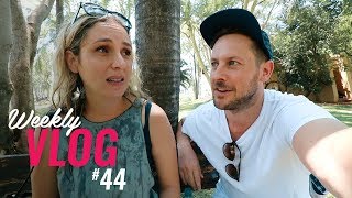 We're pushing pause on the vlog...