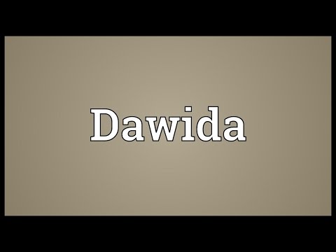 Header of dawida